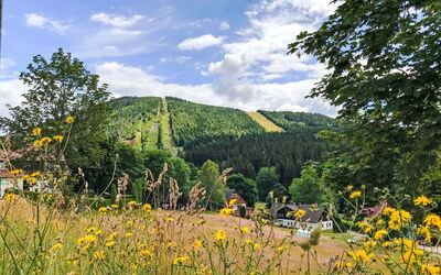 Harrachov Resident a