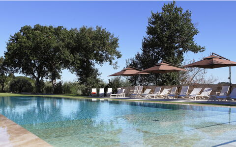 Poggio Mori 20: Schwimmbad, Wasser, Baum, Reflexion, Gartenmöbel, Resort, Water Feature, Garten, Sonnenliege, Schatten