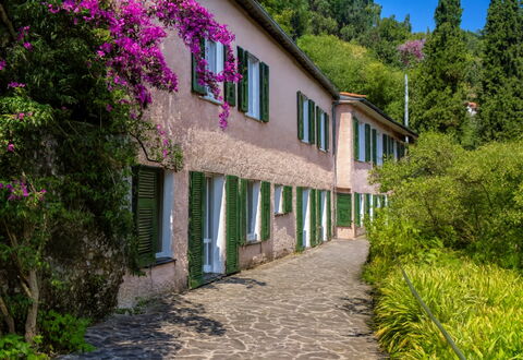 Portofino: Strauch, Frühling, Garten, Walkway