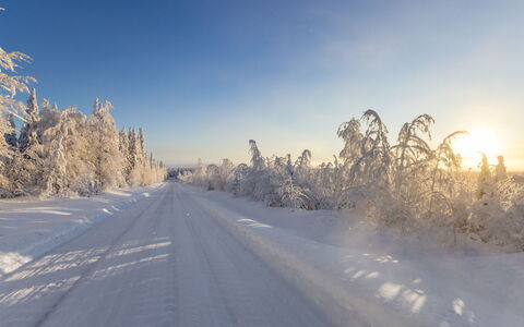 Katajamäki: Himmel, Blau, Winter, Schnee, Ast, Horizont, Einfrieren, Frost, Geologisches Phänomen, Sonnenlicht