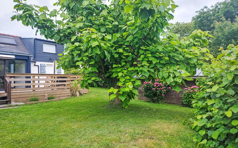Maison de Kergoff: Blatt, Gehölz, Garten, Rasen, Hinterhof, Garten, Schatten, Landscaping