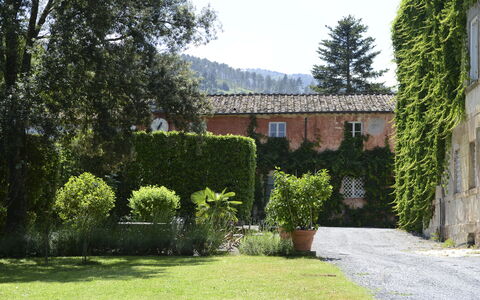 Fattoria: Strauch, Wohngebiet, Haus, Estate, Garten, Hazienda, Hecke, Landscaping, Hof
