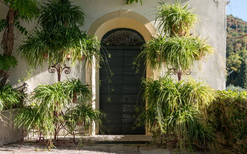 Galero: Vegetation, Eigentum, Bogen, Gebäude, Die Architektur, Haus, Botanik, Baum, Grundeigentum, Tür
