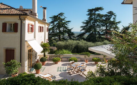 Galero: Haus, Zuhause, Strauch, Wohngebiet, Garten, Estate, Hazienda, Balkon, Landscaping, Garten