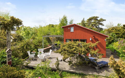 Ringenäs: Strauch, Hütte, Haus, Grundstueck, Zuhause, Garten, Ländliches Gebiet, Ground, Frühling