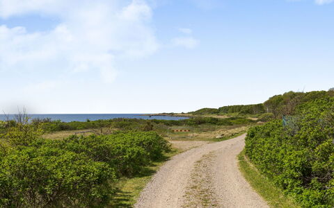 Ringenäs: Himmel, Blau, Grün, Vegetation, Horizont, Natürliche Landschaft, Ökoregion, Strasse, Sommer, Wiese
