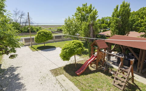 Petka: Strauch, Garten, Schatten, Landscaping, Rasen, Garten, Estate, Hinterhof, Hazienda