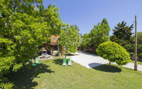 Petka: Baum, Strauch, Garten, Rasen, Schatten, Landscaping, Garten, Park, Hinterhof, Hazienda
