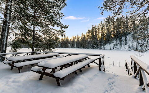 Villa Loisto: Schnee, Winter, Baum, Holz, Ast, Außenbank, Landschaft, Einfrieren, Gartenmöbel, Picknicktisch