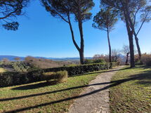 Villa El Olivar