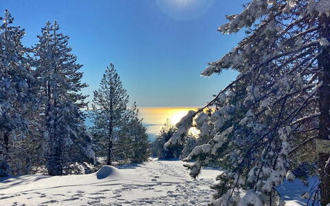 Apartment, Garden, Beigua Unesco Global Geopark: Blau, Ast, Winter, Schnee, Baum, Natur, Sonne, Landschaft, Einfrieren
