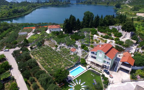 Solo: Strauch, Wohngebiet, Zuhause, Estate, Garten, Rasen, Landscaping, Garten, Villa, Villa