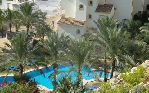 Altea Dorada: Schwimmbad, Vegetation, Eigentum, Resort, Palme, Baum, Azurblau, Arecales, Urlaub, Hotel