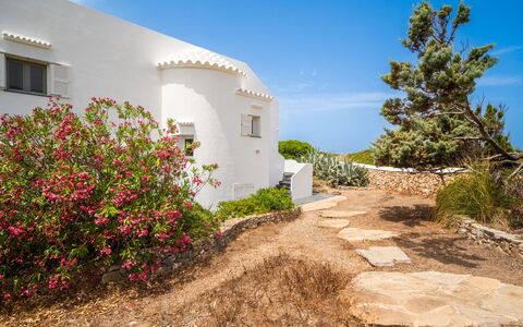 Sa Blanca: Strauch, Pflanzengemeinschaft, Garten, Shrubland, Landscaping, Wild