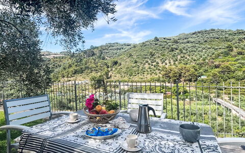 Micuzzo: Möbel, Gartenmöbel, Stuhl, Tisch Im Freien, Küche & Esszimmer Tisch, Terrasse, Restaurant, Eco Hotel, Balkon, Kaffetisch