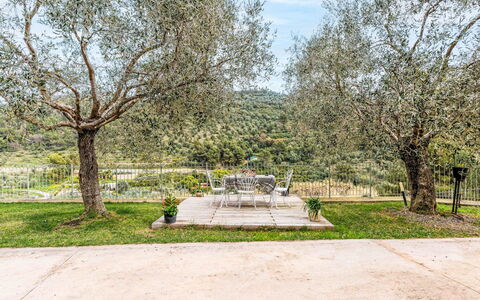 Micuzzo: Baum, Landschaft, Strauch, Garten, Frühling, Landscaping, Schatten, Park, Rasen, Botanischer Garten