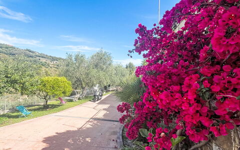 Micuzzo: Blume, Strauch, Rosa, Frühling, Garten, Blütenblatt, Blühende Pflanze, Botanischer Garten, Blühen