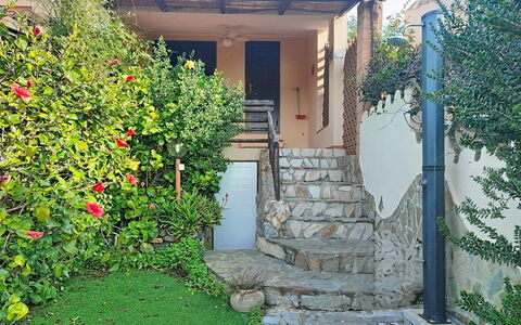 Casetta nel Blu: Strauch, Garten, Garten, Hinterhof, Landscaping, Treppe, Walkway, Rose Family, Hof