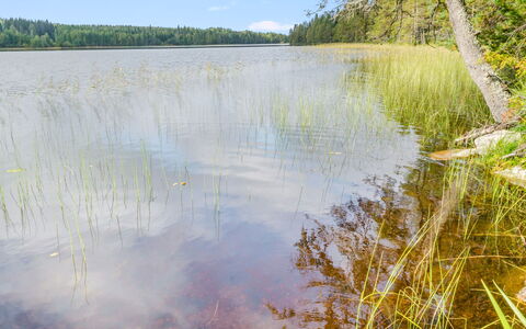 Kuikkaranta: Wasser, Wasservorräte, Natur, Grün, Natürlichen Umgebung, Natürliche Landschaft, Sumpf, Bank, Reflexion