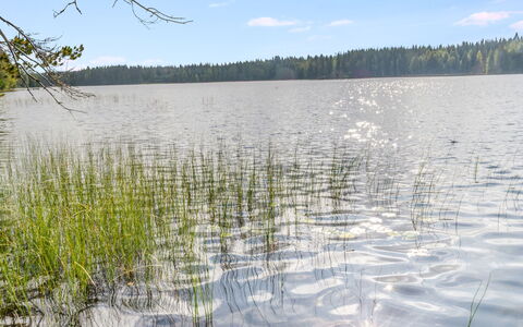 Kuikkaranta: Wasser, Wasservorräte, Gewässer, Natürlichen Umgebung, Natur, Sumpf, Natürliche Landschaft, Bank