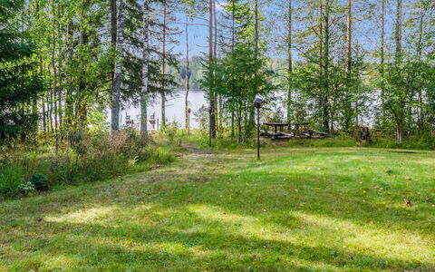 Kuikkaranta: Grün, Gras, Baum, Natürlichen Umgebung, Blatt, Vegetation, Natürliche Landschaft, Sommer, Grundstueck