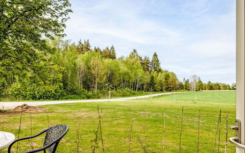 Hönetorpet: Baum, Gras, Grundstueck, Rasen, Garten, Sonnenlicht, Landscaping, Wiese, Schatten, Stuhl