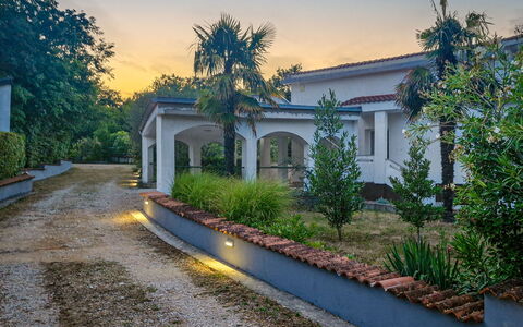 Filip: Die Architektur, Zuhause, Wohngebiet, Garten, Estate, Hazienda, Auffahrt, Beton, Landscaping, Schatten
