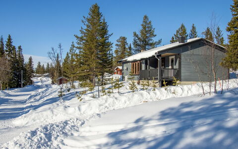 Solgläntan: Schnee, Baum, Ast, Winter, Haus, Hütte, Zuhause, Einfrieren, Steigung, Lärche