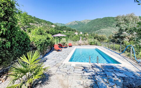 Amica: Möbel, Gartenmöbel, Stuhl, Schatten, Überdachung, Tisch Im Freien, Outdoor Struktur, Terrasse, Markise, Küche & Esszimmer Tisch