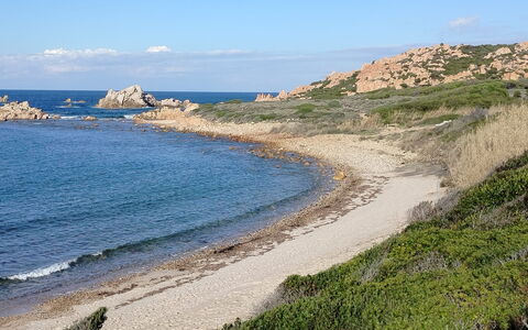 Rocciarossa: Küste, Küsten Und Ozeanische Forms, Meer, Ufer, \Fels, Bucht, Landspitze, Terrain, Strand, Ozean