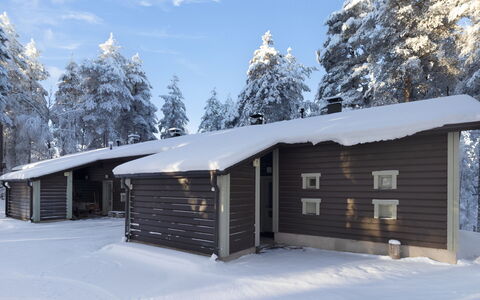 Villa Rokua: Landschaft, Grundstueck, Plantage, Pine Familie, Immergrün