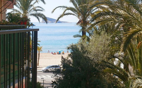 Turia Playa: Baum, Palme, Arecales, Eigentum, Urlaub, Babassupalme, Gehölz, Pflanze, Resort, Tropen