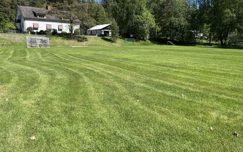 Skolhuset: Gras, Baum, Wiese, Strauch, Grundstueck, Rasen, Einfach, Wiese, Ground