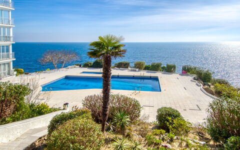 Blaumar: Blau, Wasser, Gewässer, Meer, Küste, Küsten Und Ozeanische Forms, Schwimmbad, Resort, Ozean, Tropen