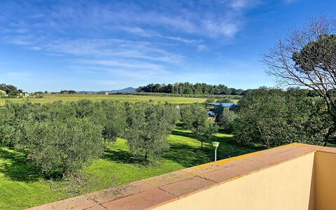 La Casa del Prime: Blatt, Vegetation, Strauch, Garten, Pflanzengemeinschaft, Landscaping, Gehölz, Rasen, Schatten, Garten