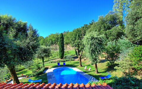 Villa Ulivacci: Blau, Garten, Schwimmbad, Rasen, Schatten, Hinterhof, Landscaping, Park, Garten, Gartenmöbel