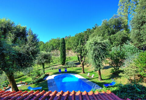 Villa Ulivacci: Blau, Garten, Schwimmbad, Rasen, Schatten, Hinterhof, Landscaping, Park, Garten, Gartenmöbel