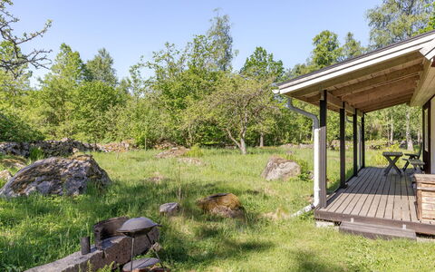 Holmen: Gras, Strauch, Grundstueck, Pflanzengemeinschaft, Ländliches Gebiet, Ground, Hütte, Garten, Frühling