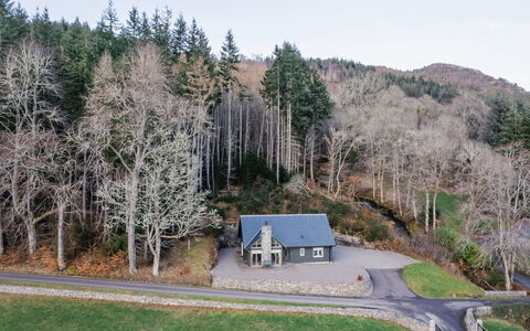 Kennel House: Baum, Gras, Ast, Strassenbelag, Haus, Zuhause, Strasse, Strauch, Hütte, Asphalt