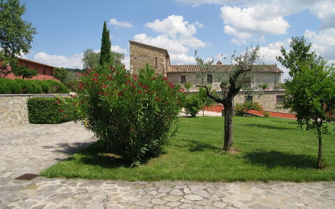 Agriturismo le Case Rosse di Montebuono: Gras, Strauch, Landschaft, Grundstueck, Garten, Rasen, Landscaping, Garten, Plantage