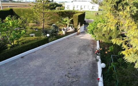 Villa Maddalena: Strauch, Garten, Walkway, Landscaping, Auffahrt, Immergrün, Hecke