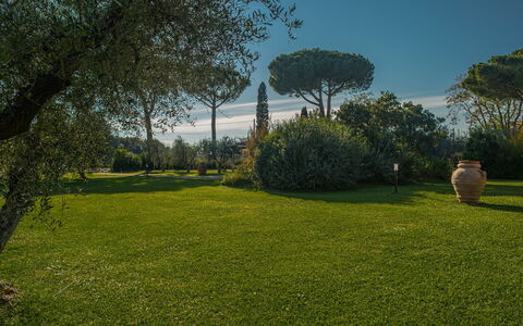 Villa Bolgheri Vermentino Castagneto Carducci: Gras, Natur, Blatt, Garten, Landschaft, Strauch, Grundstueck, Kofferraum, Rasen, Landscaping