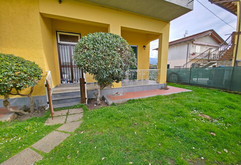 Casa Serena: Strauch, Garten, Rasen, Garten, Hinterhof, Landscaping, Schatten, Hecke, Hof, Walkway