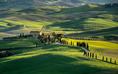 Casa Lory, Monteriggioni, Siena: Gras, Natürliche Landschaft, Hügel, Wiese, Landschaft, Hochland, Feld, Einfach, Ländliches Gebiet, Wiese