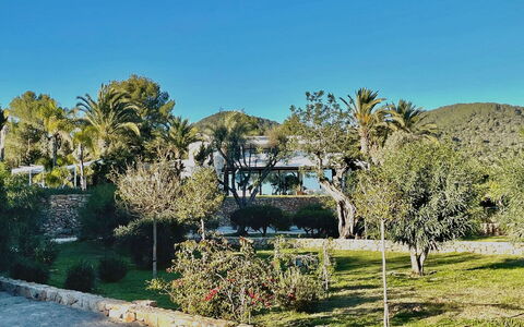 Villa the Marvel: Baum, Blatt, Vegetation, Landschaft, Strauch, Garten, Landscaping, Schatten