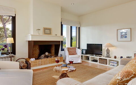 Villa Crab: Möbel, Interior Design, Wand, Couch, Flooring, Wohnzimmer, Holz, Fussboden, Decke, Zimmer