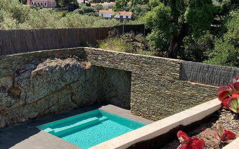 Villa Luisa: Steinwand, Schwimmbad, Water Feature, Garten, Landscaping, Hinterhof, Schatten, Flagstone, Eco Hotel