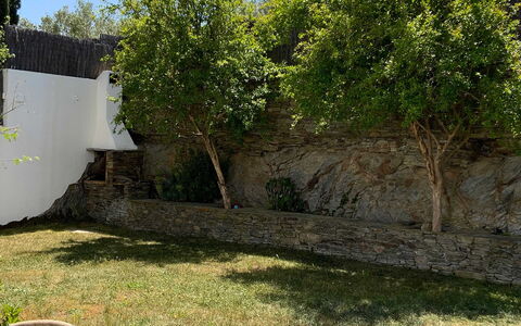 Villa Luisa: Blatt, Gehölz, Garten, Schatten, Steinwand, Hinterhof, Landscaping