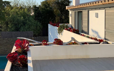 Villa Luisa: Schatten, Beton, Garten, Blumentopf, Landscaping, Balkon, Design, Garten, Zimmerpflanze, Hinterhof