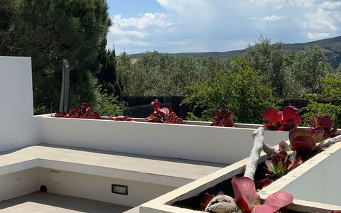 Villa Luisa: Garten, Beton, Schatten, Landscaping, Design, Hinterhof, Zimmerpflanze, Hof, Blumentopf